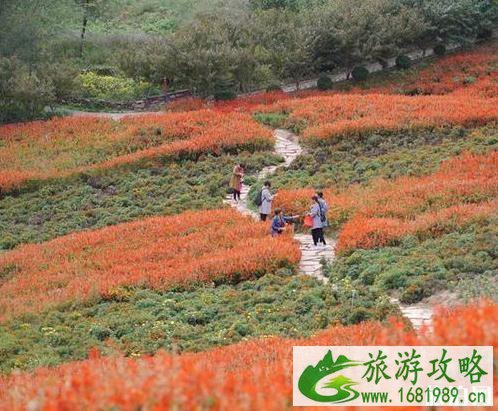 什么时候去石家庄旅游比较好 什么时候去石家庄旅游比较好