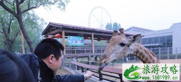 什么时候去石家庄旅游比较好 什么时候去石家庄旅游比较好