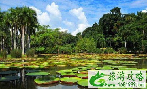 云南5a景区有哪些 云南5a景区景点介绍