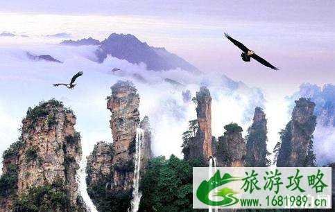 张家界旅游交通攻略+交通注意事项