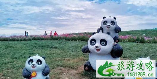 俄木塘草原花海在哪里 俄木塘草原花海观赏最佳日期+游玩攻略