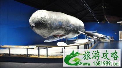 青岛海低世界门票价格多少钱+优惠政策+学生票 青岛海低世界门票价格多少钱+优惠政策+学生票