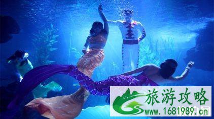 青岛海低世界门票价格多少钱+优惠政策+学生票 青岛海低世界门票价格多少钱+优惠政策+学生票