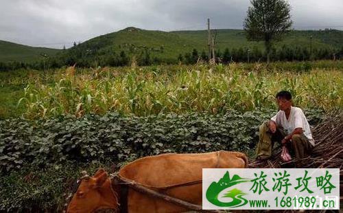 去朝鲜旅游需要什么手续 去朝鲜旅游需要准备什么 去朝鲜旅游需要什么手续 去朝鲜旅游需要准备什么