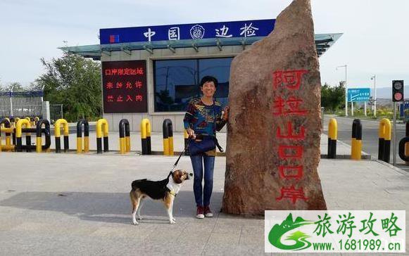 一个人长途自驾游注意事项 一个人长途自驾游注意事项