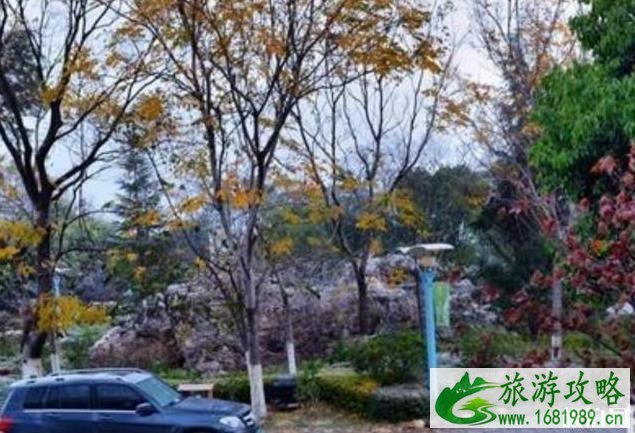 一个人长途自驾游注意事项 一个人长途自驾游注意事项