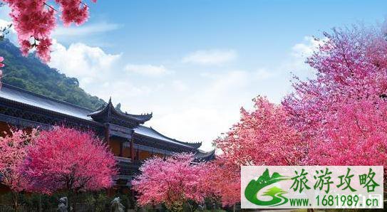 寺庙修行有什么条件 国内最适合修行的寺庙推荐