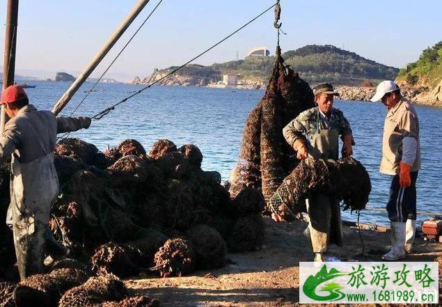 高考后去哪里旅游推荐 高考后旅游攻略+景点推荐 高考后去哪里旅游推荐 高考后旅游攻略+景点推荐