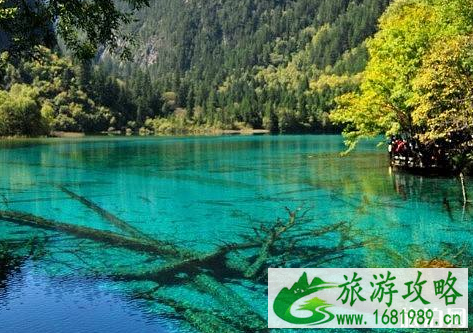 2022年6月九寨沟景区开放时间是几点到几点 2022年6月九寨沟景区开放时间是几点到几点