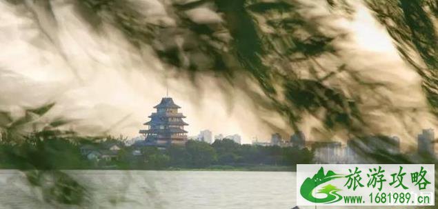 杭州西湖和苏州金鸡湖哪个更好玩 杭州西湖和苏州金鸡湖哪个更好玩