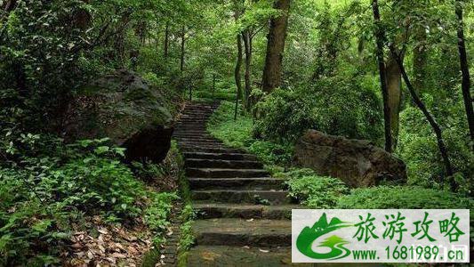 免费的5A级景区有哪些