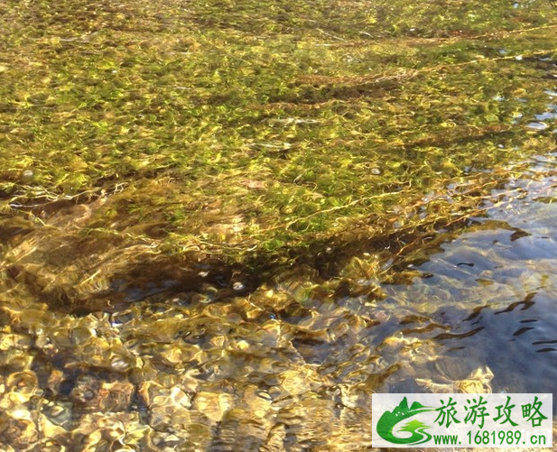 延庆后河怎么走