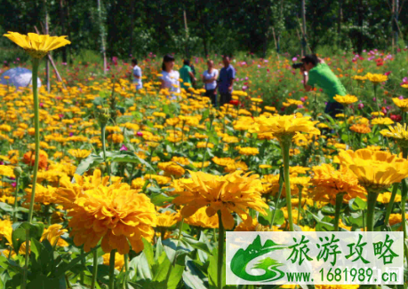 2022端午节成都香薰山谷门票有优惠吗 2022端午节成都香薰山谷门票有优惠吗