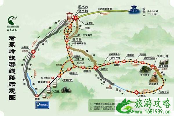 西峡恐龙遗迹园线路图 西峡恐龙遗迹园好玩吗 西峡恐龙遗迹园线路图 西峡恐龙遗迹园好玩吗