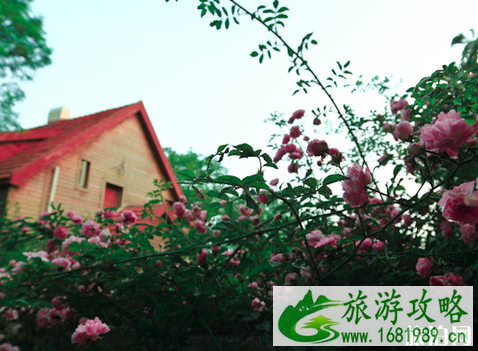 2022青岛十大旅游景点推荐 青岛旅游景点排行榜 2022青岛十大旅游景点推荐 青岛旅游景点排行榜