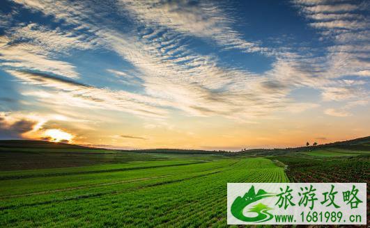 张家口张北草原和坝上草原哪个更好玩 张家口张北草原和坝上草原哪个更好玩