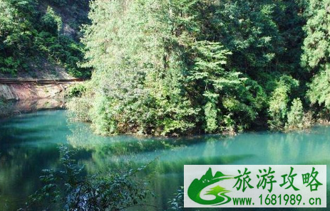 2022重庆6月份适合去哪里玩 重庆避暑景点有哪些 2022重庆6月份适合去哪里玩 重庆避暑景点有哪些