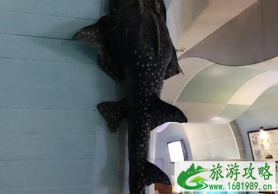 芽庄自由行旅游景点推荐 芽庄自由行旅游景点推荐