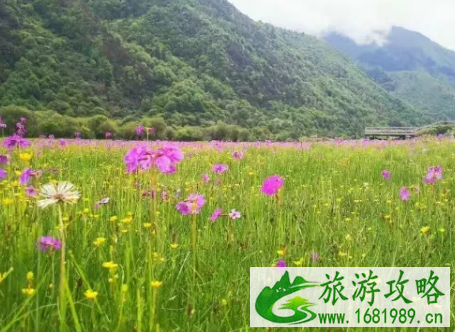 2022四姑娘山景区端午朝山会门票价格
