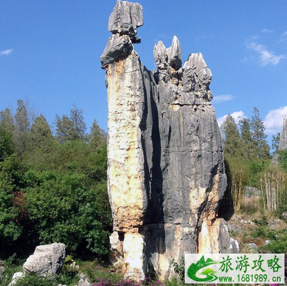 石林风景区怎么坐车 2022石林风景区游玩攻略 石林风景区怎么坐车 2022石林风景区游玩攻略