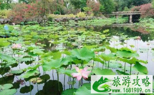 厦门园博苑荷花展赏荷地推荐2022 厦门园博苑荷花展赏荷地推荐2022
