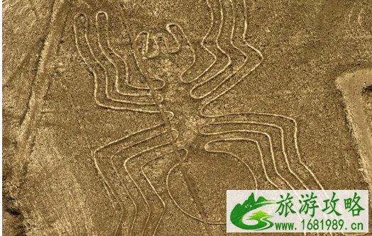 秘鲁再添未解之谜 秘鲁未解之谜是什么 秘鲁再添未解之谜 秘鲁未解之谜是什么
