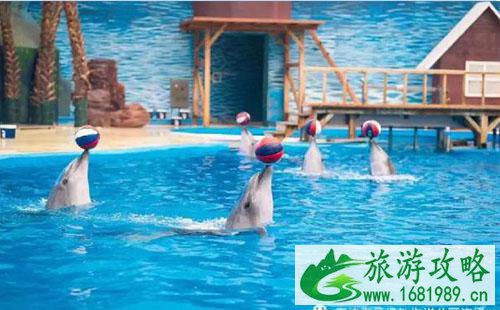 2022六一儿童节天津海昌极地海洋公园有什么活动 2022六一儿童节天津海昌极地海洋公园有什么活动