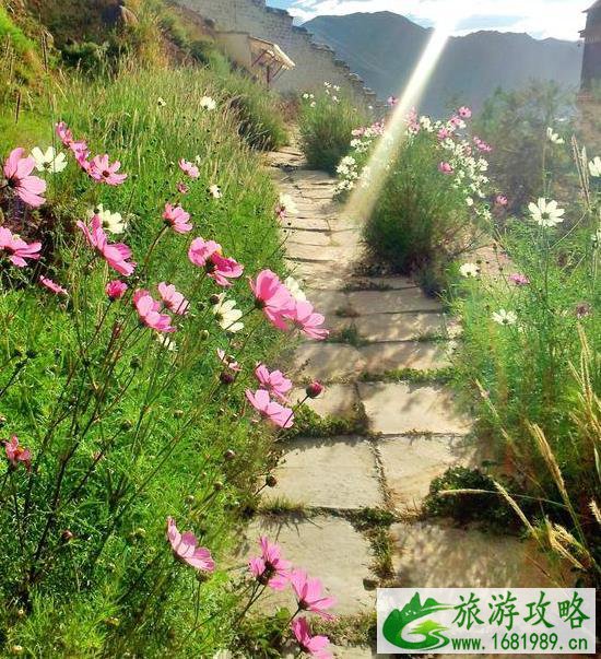 大昭寺观后感 大昭寺游记体验 大昭寺观后感 大昭寺游记体验