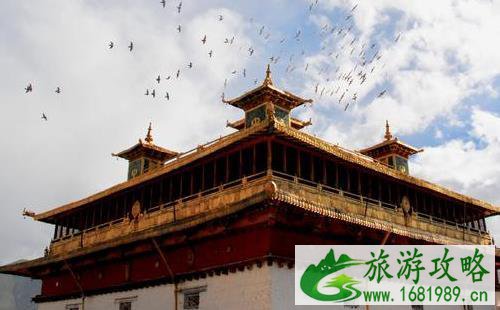 桑耶寺镇寺之宝是什么 桑耶寺镇寺之宝蝎子 桑耶寺镇寺之宝是什么 桑耶寺镇寺之宝蝎子