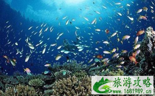 普吉岛穷游攻略2022