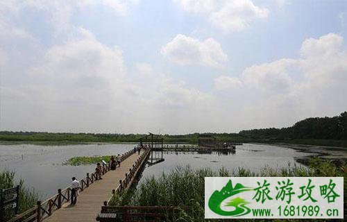 武汉有哪些湿地公园2022 武汉有哪些湿地公园2022