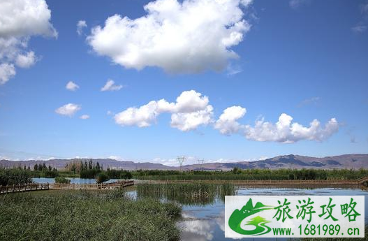 武汉有哪些湿地公园2022 武汉有哪些湿地公园2022