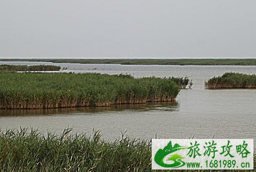 武汉有哪些湿地公园2022 武汉有哪些湿地公园2022