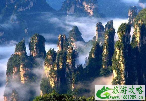 张家界玩几天合适 张家界玩遍需要几天 张家界玩几天合适 张家界玩遍需要几天
