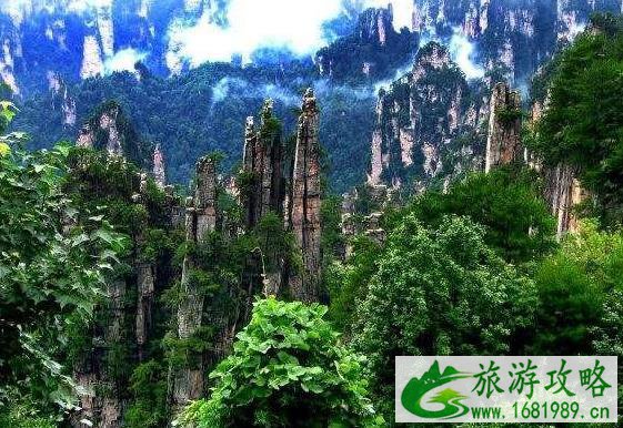 张家界玩几天合适 张家界玩遍需要几天 张家界玩几天合适 张家界玩遍需要几天
