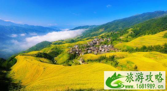 到桂林旅游需要多少钱 去桂林旅游要多少钱 到桂林旅游需要多少钱 去桂林旅游要多少钱