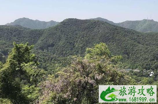 杭州小众旅游景点推荐+指南 杭州小众旅游景点推荐+指南