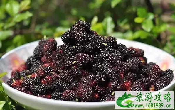 武汉五月采摘季指南 夏季采摘景点推荐