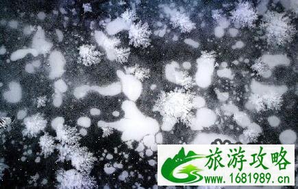 小镇湿地自带魔幻效果是怎么回事 自带魔幻效果的小镇在哪里 小镇湿地自带魔幻效果是怎么回事 自带魔幻效果的小镇在哪里