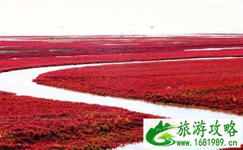 盘锦有什么好玩的地方 盘锦景点推荐 盘锦有什么好玩的地方 盘锦景点推荐