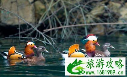 南江大峡谷各景点门票是多少 南江大峡谷各景点门票是多少
