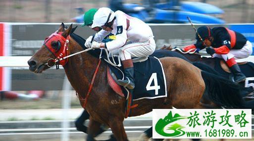 武汉东方马城赛马博物馆什么时候开放