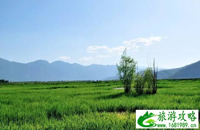 摩洛哥旅游2018日(摩洛哥最佳旅游月份)