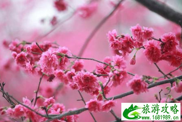 懒惰怎么办 五岁孩子懒惰怎么办