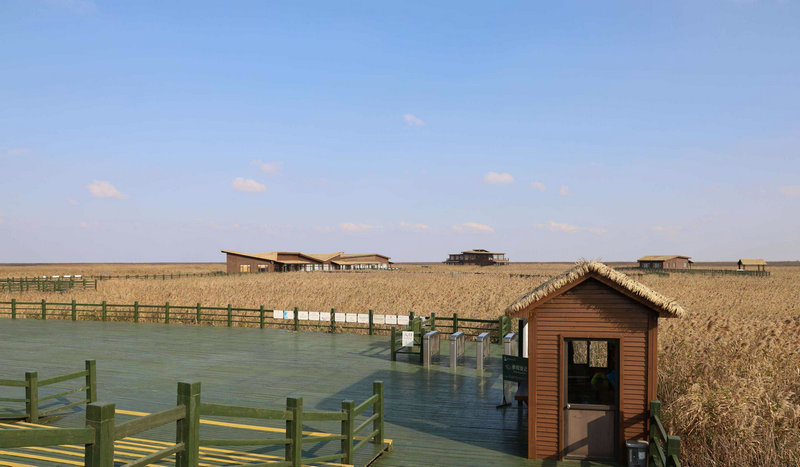 研学旅游怎么样(研学旅行去哪里好)