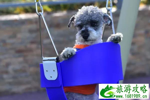 杭州到桐庐旅游路线_杭州到桐庐旅游路线怎么走