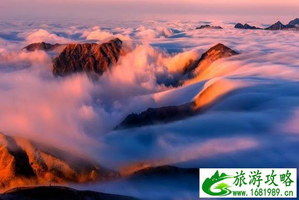 去云南适合带小孩吗(云南最适合小孩去的地方)