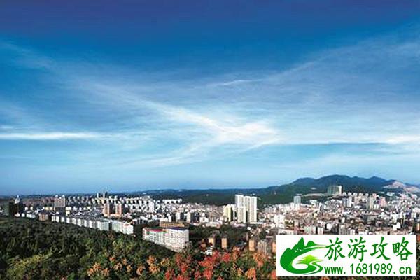 青岛家庭结伴自由行政策_青岛家庭结伴自由行政策有哪些