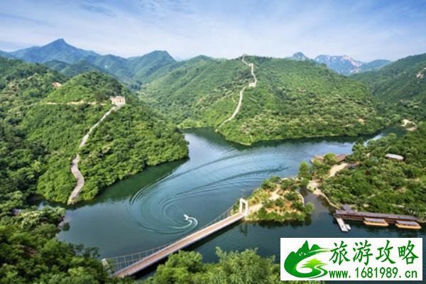 遵义百里杜鹃门票多少