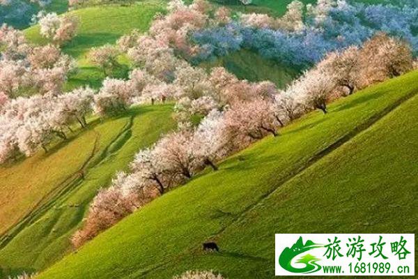 复读一年需要多少钱